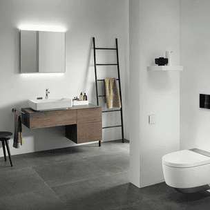 Geberit AquaClean