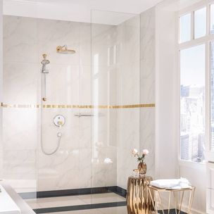 Hansgrohe Raindance Classic