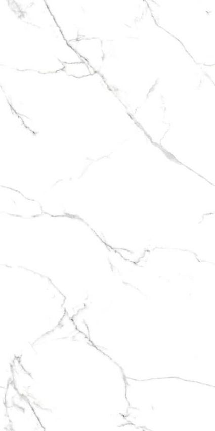 Eurotile Capitol Matt 60x120 ID 553552 - 1