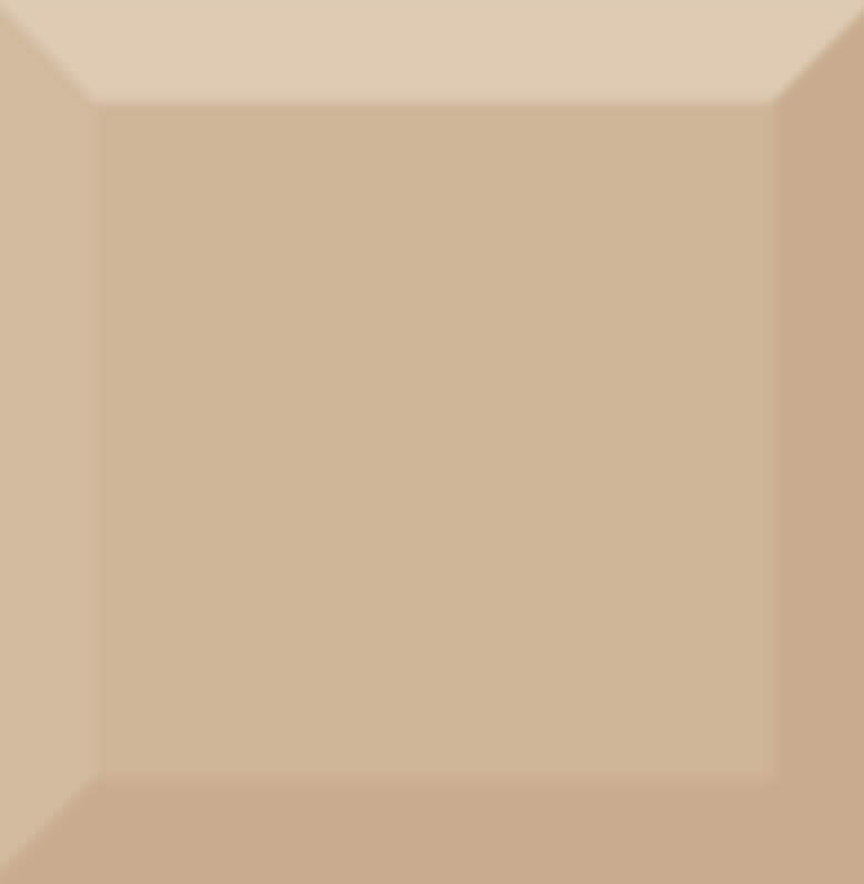 Absolut Keramika Cube Kitchen Biselado Brillo Beige 10x10 ID 437062 - 1