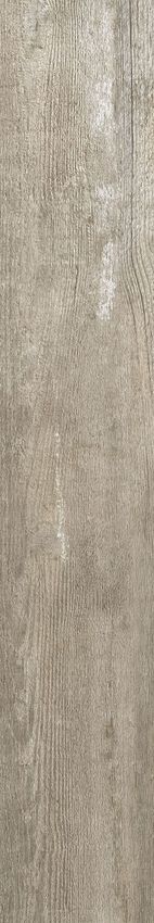 Absolut Keramika Dream Forest Medium 15x90 ID 390011 - 1