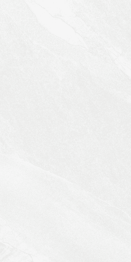 Prissmacer Halley SG White 60x120 ID 555849 - 1