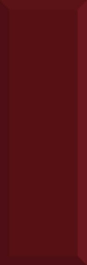 Absolut Keramika Monocolor Biselado Brillo Burdeos 10x30 ID 82103 - 1
