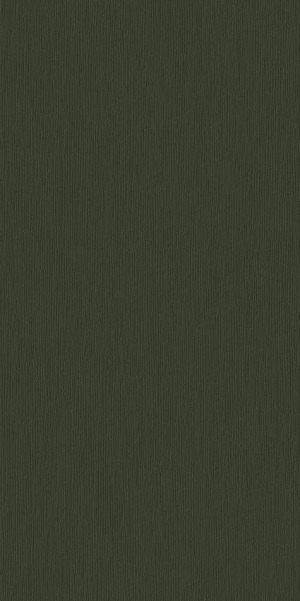 Motto Ceramic Monotone Olive D1 60x120 ID 564091 - 1