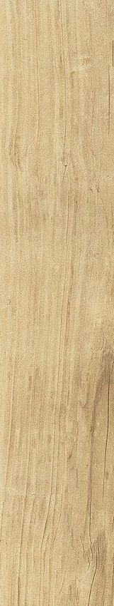 Dune Quercus Naturale 22x120 ID 551065 - 1