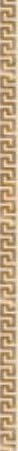 Versace Solid Gold Listello Greca White 2.5x60 ID 396306 - 1