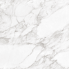 Carrara White Shine RC 60x60