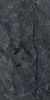 Realistik Esme Black Sugar Carving 60x120 ID 538414