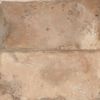 Peronda Fs Storia Natural-2 22.3x22.3 ID 550538 - 5