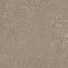 Керамогранит Rough Grain Taupe Nat.60x60