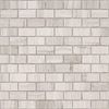 Travertino Silver Pol 2.3x4.8