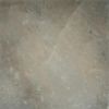 ColiseumGres Riviera Дарк Рет 60x60 ID 556796
