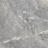 Delacora Wild Dark 60x60 ID 559503